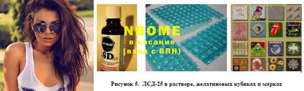стафф Михайловск